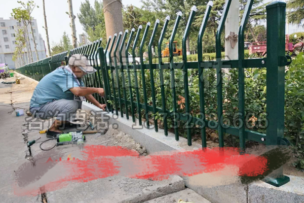 山東棗(zǎo)莊(zhuāng)市城市綠化改造工程 山東棗莊市城市綠化改造工程